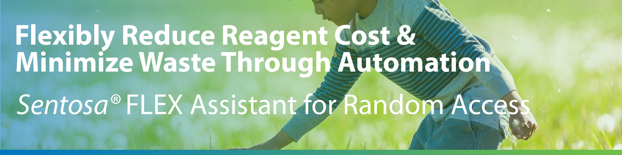 Random Access - Sentosa FLEX