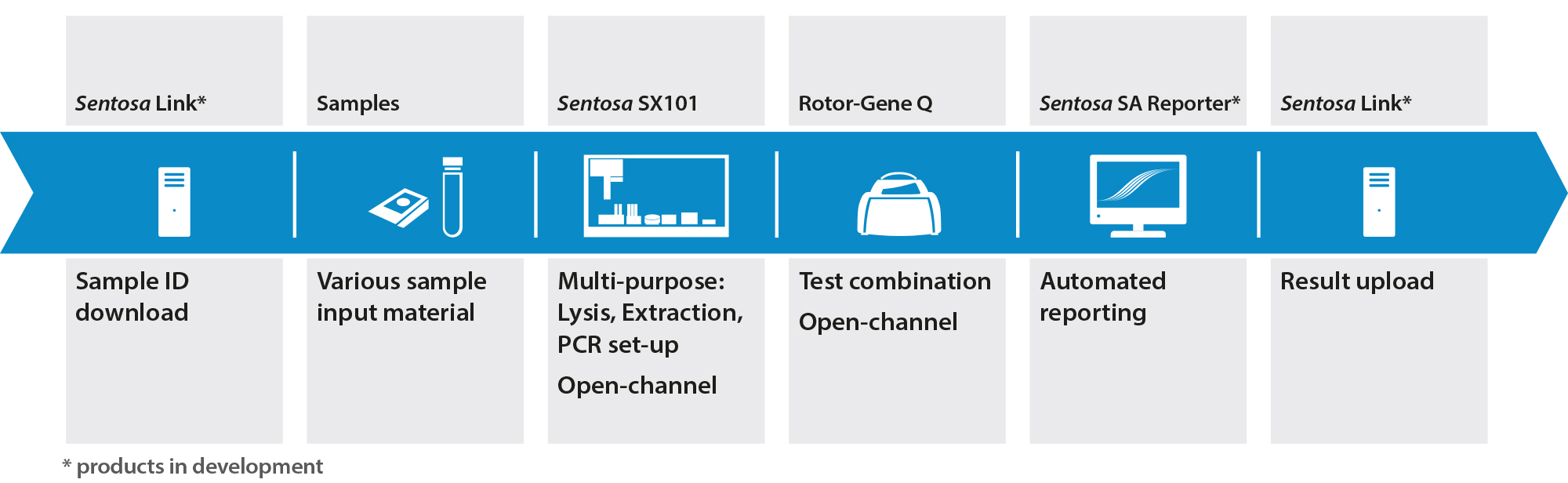 real time pcr vela diagnostics real time pcr