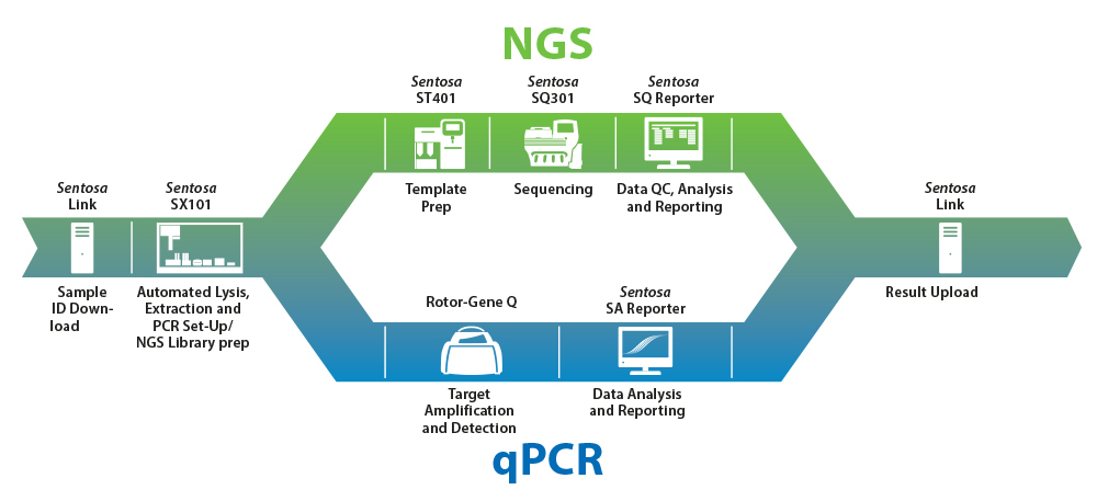 ngs pcr diagnostics solutions sequencing qpcr generation vela automated workflow instrumentation using workflows common both