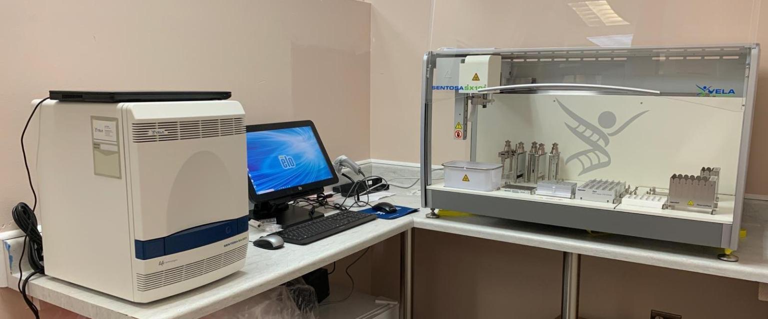Vela Diagnostics' automated workflow